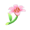 Picture of Pink Lilies