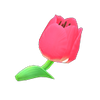 Picture of Pink Tulip