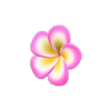 Picture of Plumeria Hairpin