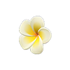 Picture of Plumeria Hairpin