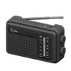 Picture of Portable Radio