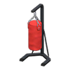 Picture of Punching Bag