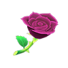 Picture of Purple Rose