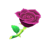 Picture of Purple Roses