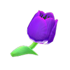 Picture of Purple Tulips