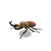 Picture of Rainbow Stag Model