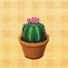 Picture of Round Cactus