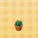 Picture of Round Mini Cactus