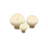 Picture of Round Mushroom