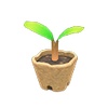 Picture of Sapling