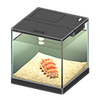Picture of Sea Cucumber