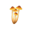 Picture of Skinny Mushroom