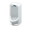 Picture of Standing Toilet