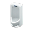 Picture of Standing Toilet Picture of Standing Toilet