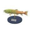 Picture of Stringfish Model