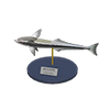 Picture of Suckerfish Model