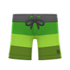 Picture of Surfing Shorts