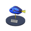 Picture of Surgeonfish Model