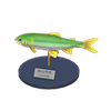 Picture of Sweetfish Model