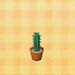 Picture of Tall Mini Cactus