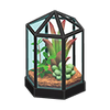 Picture of Terrarium