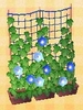 Picture of Trellis