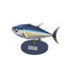 Picture of Tuna Model