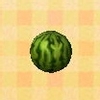 Picture of Watermelon