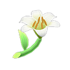 white-lilies.abd3409.png