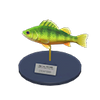 Picture of Yellow Perch Model