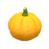Picture of Yellow Pumpkin