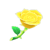 Picture of Yellow Roses