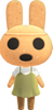 Picture of Coco